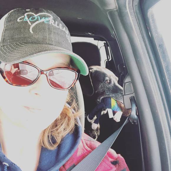 Meet your Posher, Danyne - Picture 1 of 1